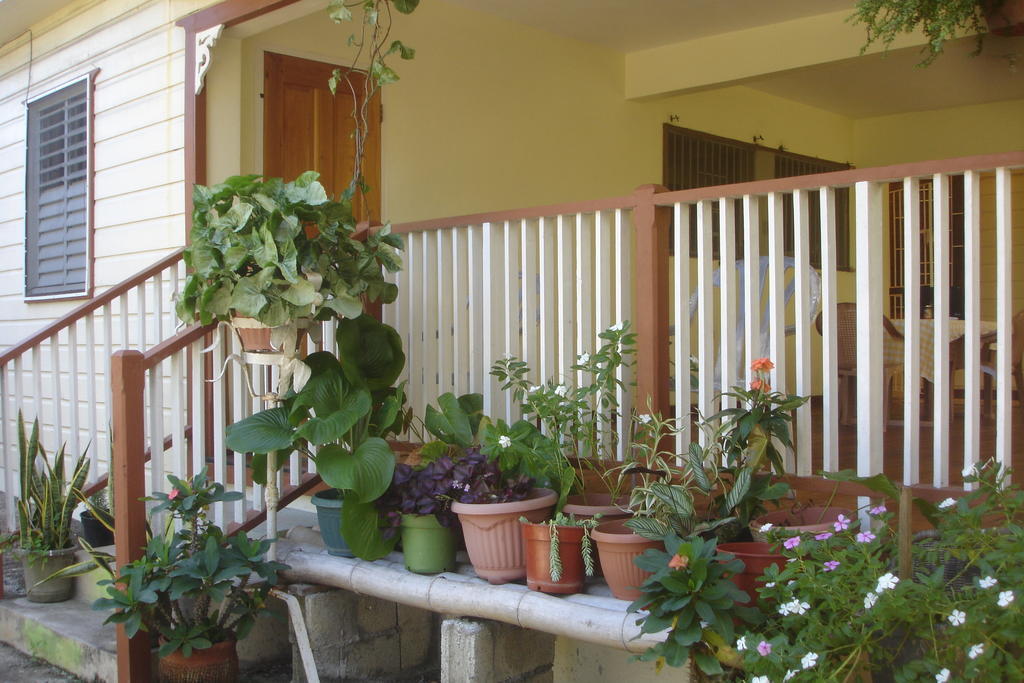 Finjam Cottage Port Antonio Exterior photo